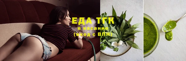 молекула духа Новозыбков