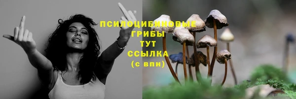 прущие крисы Алексеевка
