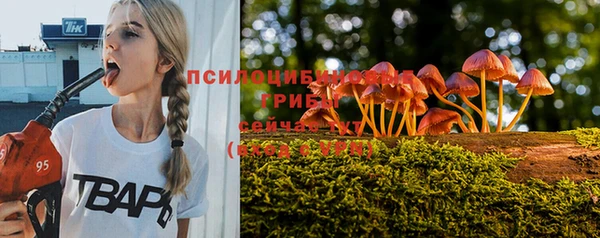 тгк Алзамай