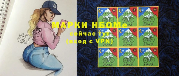 молекула духа Новозыбков