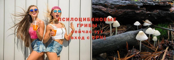 тгк Алзамай