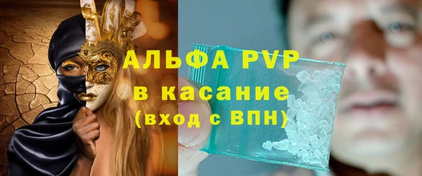 молекула духа Новозыбков