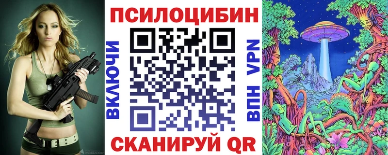 MEGA как войти  Южно-Сухокумск  Псилоцибиновые грибы Psilocybe 